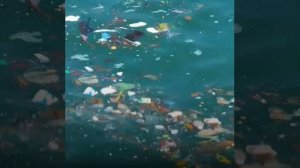 Рубрика «Загнивающая Россия»😉