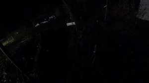 VLOG: Заехали в питомник Садко 2, наши приобретения/ Купили на рынке не лучший чеснок для посадки