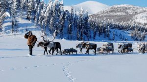 Якутия — самое суровое место на Земле