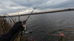 ДЖИГ с берега в ноябре. Рыбалка на щуку