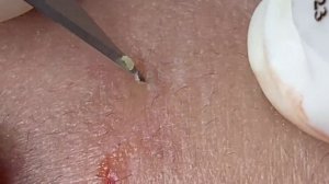 Relax Spa 012 • АСМР • SacDepSpa collection