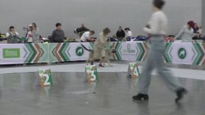 Голджин Челеста