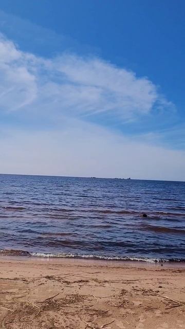 Карелия 2025. Пляжи Видлицы. Июль 2025г (Часть 1) смотреть онлайн