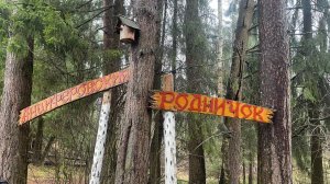 Подосинки за один день: Путешествие в мир дикой природы!