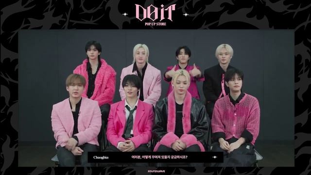 Stray and a small interview about "Do it" смотреть онлайн