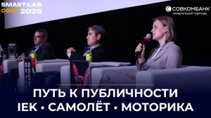 Зачем бизнесу публичность? Разбор на примере IEK, Самолёт и Моторики