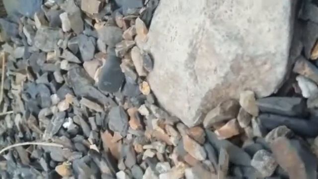 Летающий камень