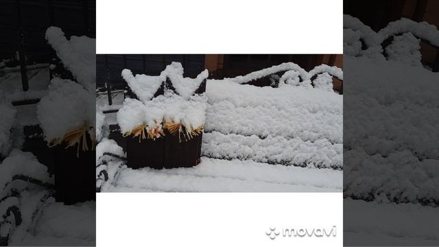 Укрыло землю белым покрывалом!!