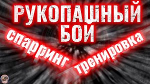 спарринг тренировка рукопашный бой
