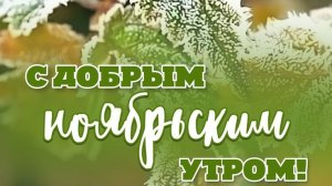 Доброе утро ноября. Музыкальная открытка.