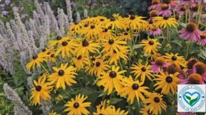 25 неприхотливых многолетников