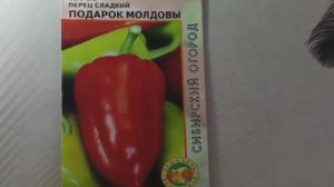 Перец «Подарок Молдовы» — проверенный временем, надежный сорт для любого климата
