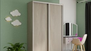 Обзор 2-х дверного шкафа-купе серии "Экспресс", Фасад: Ясень Шимо