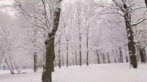 Зимний релакс