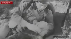 Вяземские «Корсары» объединили спорт и память в мероприятии для юных пловцов