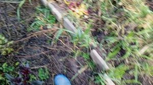 Распаковка и обзор двора осенний