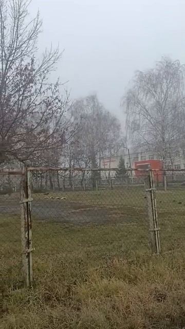 1124 смотреть онлайн