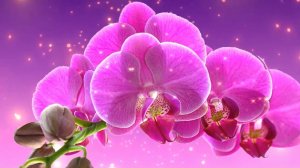 Я ПРИЧИНЮ ТЕБЕ СЧАСТЬЕ