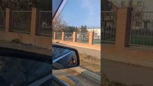 Путешествие по Грузии