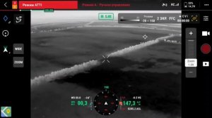 Гончие отследили Бабу Ягу