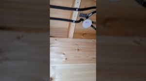 1000040888.mp4 (Собака смотрит на монтаж э/проводки (план. э/вентиляции в ванной) в доме А-фрейм)