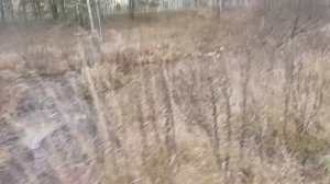 На поиски старого храма