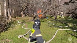 Силы и средства РСЧС ликвидировали пожар в Нальчикском лесничестве