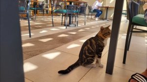 Gr.hot.2025 часть2