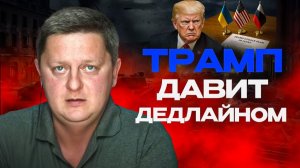 🚨Зе взяли за шкирку! Коричневые ЛИНИИ Украины. Рф ждет