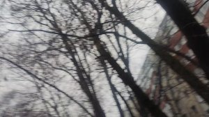 24 ноября снег ❄️ приближается будет после дождя...