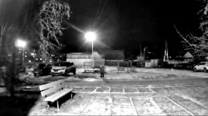 Женщина спасла ребенка от собаки