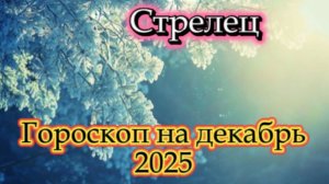 Стрелец! Гороскоп на декабрь 2025 года!
