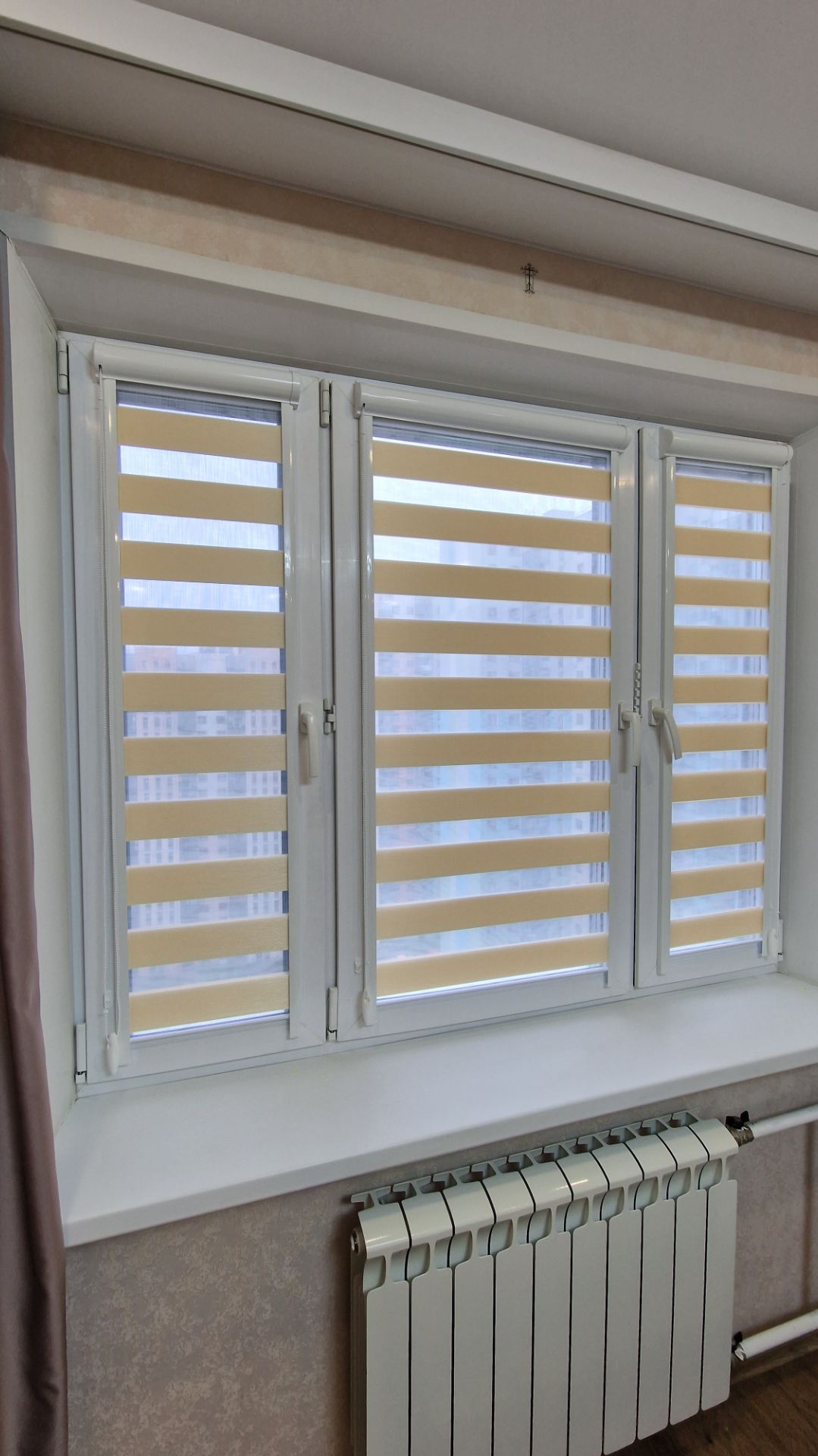 Кассетные рулонные шторки уни2. Зебра (День-ночь). Ткань Сицилия 24