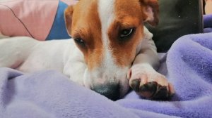 сфоткала пока она спала :﹥﹥﹥