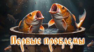 Зимовка карпов кои в бочке. Первые неисправности...