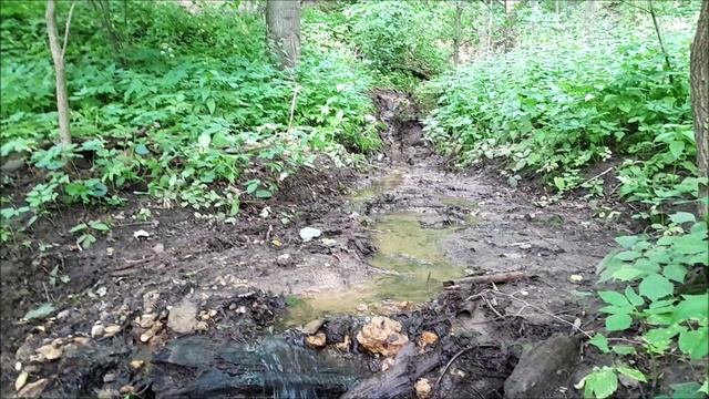 Нижний Еринский ручей