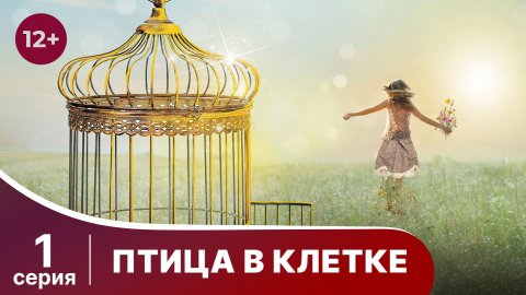 Птица в клетке. Серия 1. Мелодрама. Смотреть онлайн