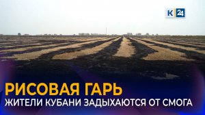 На загрязнение воздуха из-за сжигания рисовых отходов пожаловались жители Кубани