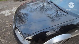 Ауди А6С5 Олроуд 2.5 тди. Лучший дизель который я встречал !