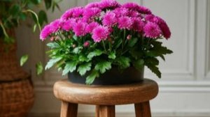 Напольная подставка для цетов из остатков подоконника.