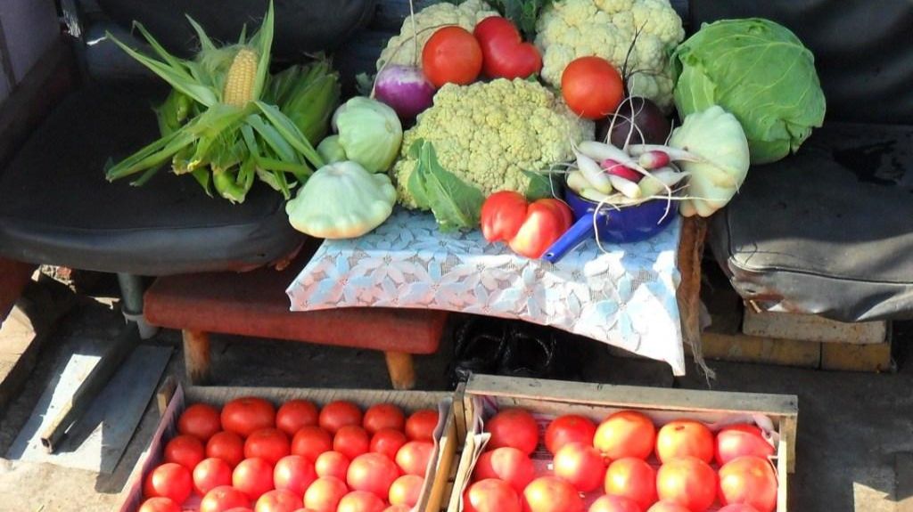 Ответы на вопросы по садово-огородным делам 55