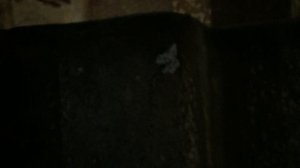 Теорема ЖКХ_Подъезд_2025.11.24_14-20