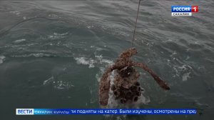 "Вести. Сахалин. Курилы". 21 ноября 2025 года