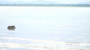 ШУМ БРОНЯ КАВАЧИ от любого влияния порчи А.Дуйко