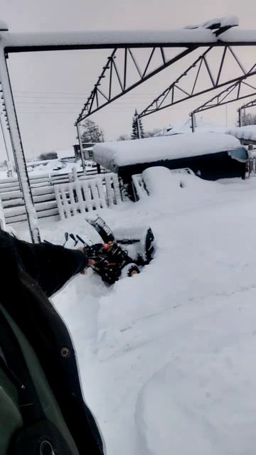 17 дней забоя: руки болят, но тёща кормит! ✋