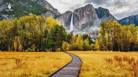 Красивая расслабляющая музыка 🍁 Осенние мелодии для снятия стресса и исцеления