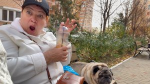 Блогеры попрошайки обнаглели! Бровченко.