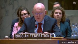 В.А.Небензя на Совете Безопасности ООН по ситуации на Ближнем Востоке, Нью-Йорк, 24 ноября 2025 года