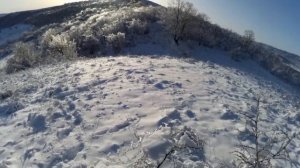 охота на хищника