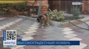 В Краснодарском крае за выходные зафиксировали девять температурных рекордов